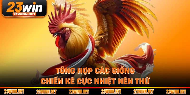 Tổng hợp các giống chiến kê cực nhiệt nên thử